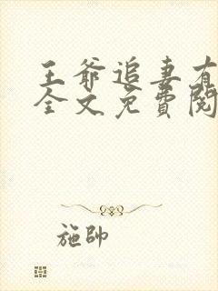 王爷追妻有心计全文免费阅读