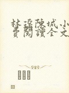 林瑶陈城小说免费阅读全文最新章节封面