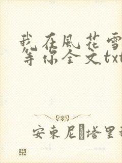 我在风花雪月里等你全文txt