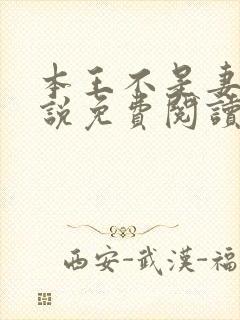 本王不是妻奴小说免费阅读