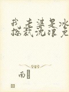 我老婆是冰山女总裁沈浪免费阅读封面