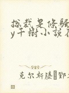 总裁是条骚狗by千树小说在线阅读最新