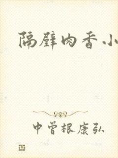 隔壁肉香小说