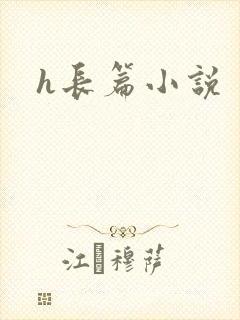 h长篇小说