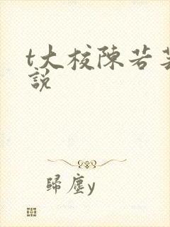 t大校陈若芸小说