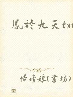 凤于九天txt