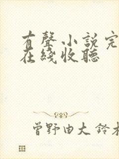 有声小说完结版在线收听