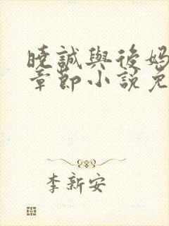 晓诚与后妈全部章节小说免费阅读下