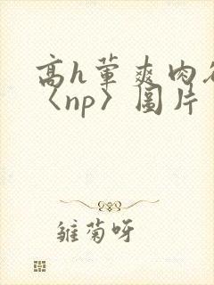 高h荤爽肉欲文〈np〉图片