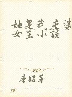 她是我老婆哦双女主小说封面