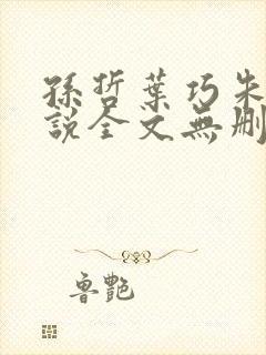 孙哲叶巧朱颜小说全文无删减免费阅读