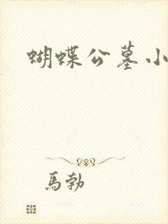 蝴蝶公墓小说