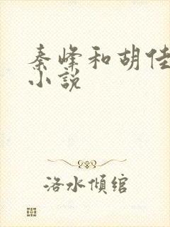 秦峰和胡佳芸的小说