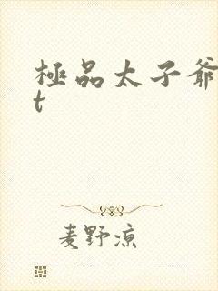 极品太子爷txt