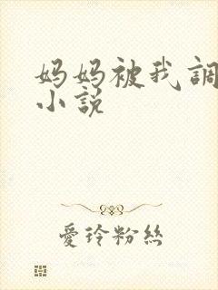 妈妈被我调教的小说封面