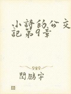 小诗的公交车日记第9章封面