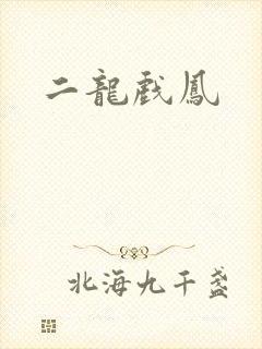 二龙戏凤