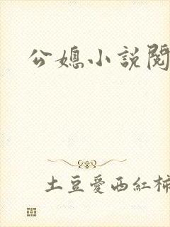 公媳小说阅读