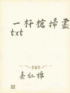 一杆枪扫尽全家txt
