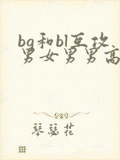 bg和bl互攻男女男男高h文封面