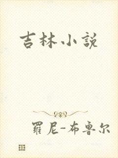 吉林小说封面