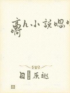 高h小说嗯啊哈啊