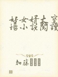 好女婿大宝贝官场小说阅读封面