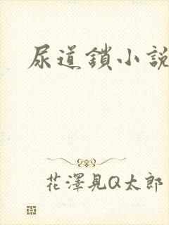 尿道锁小说