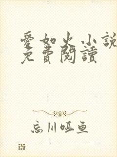 爱如火小说全文免费阅读封面