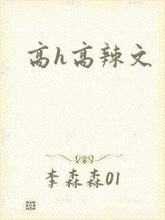 高h高辣文