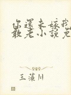 你还未嫁我怎么敢老小说免费阅读