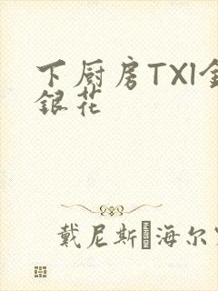 下厨房TXl金银花
