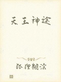 天王神途封面