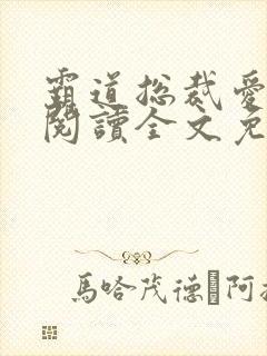 霸道总裁爱上我阅读全文免费封面