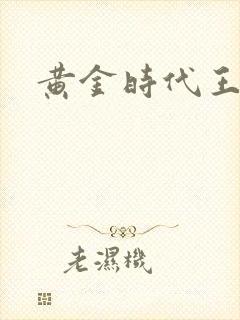 黄金时代王小波封面