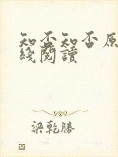 知否知否原著在线阅读封面
