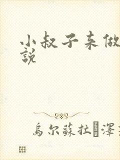 小叔子来做客小说