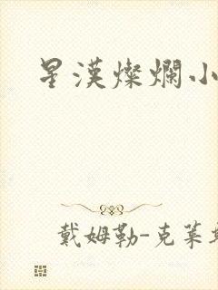 星汉灿烂小说