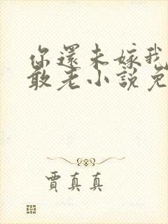 你还未嫁我怎么敢老小说免费阅读封面