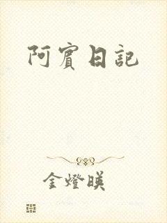 阿宾日记封面