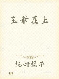 王爷在上封面