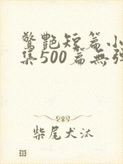 惊艳短篇小说合集500篇无弹窗阅读