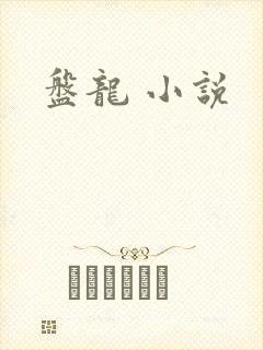 盘龙 小说