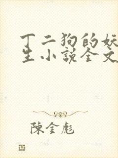 丁二狗的妖孽人生小说全文无删减