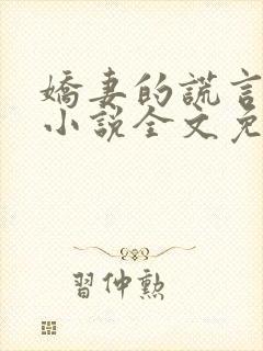 娇妻的谎言小楠小说全文免费阅读