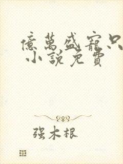 亿万盛宠只为你 小说免费