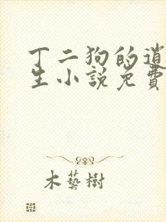 丁二狗的逍遥人生小说免费读