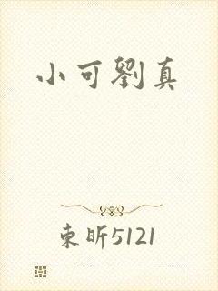 小可刘真封面