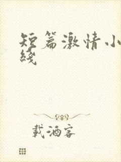 短篇激情小说在线封面