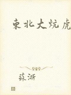 东北大炕虎子封面